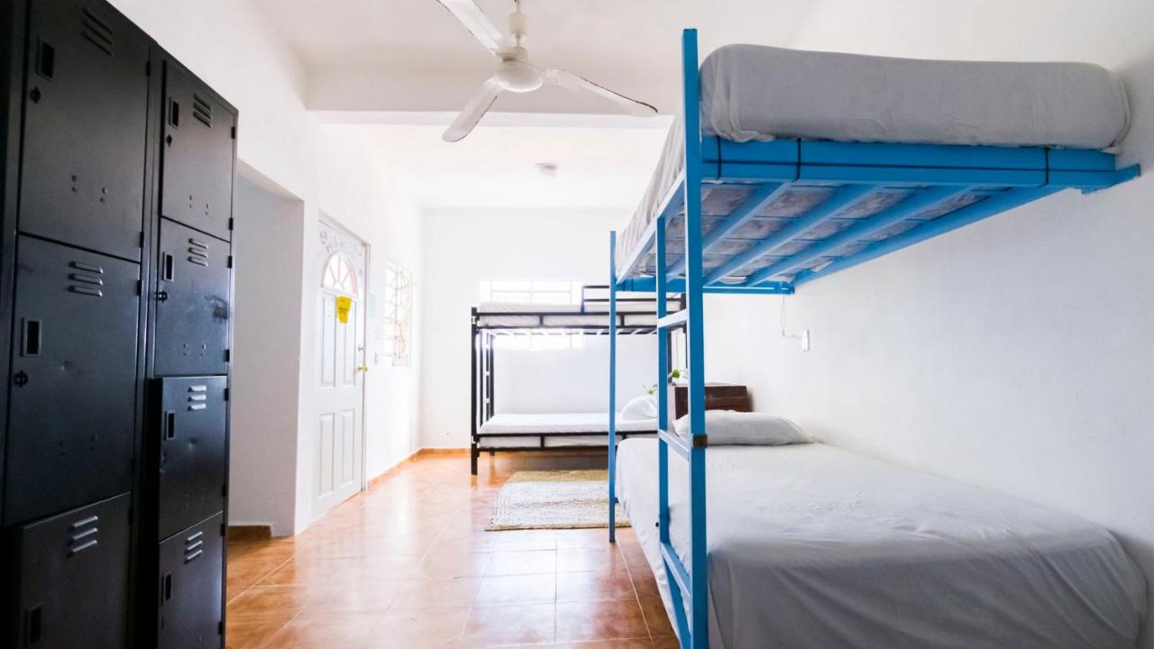 Weary Traveler Hostel Tulum Pokój zdjęcie