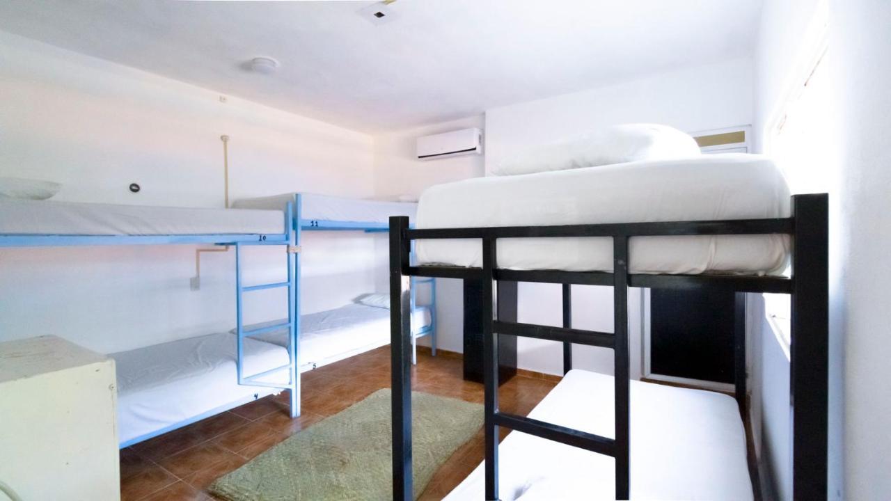 Weary Traveler Hostel Tulum Pokój zdjęcie