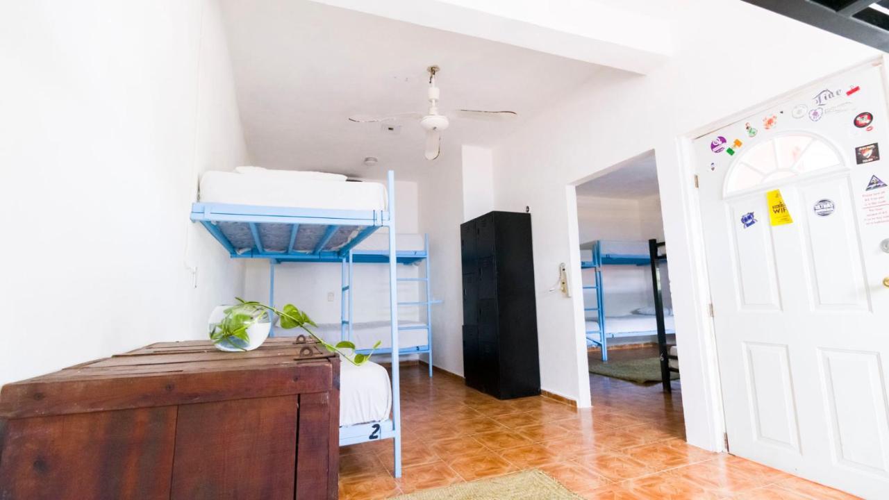 Weary Traveler Hostel Tulum Pokój zdjęcie